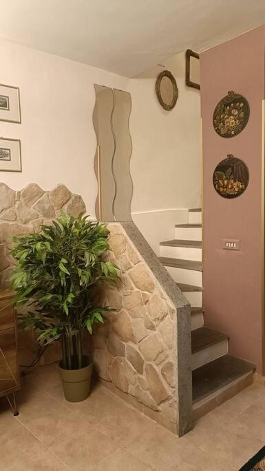 D'Amico Home Experience - Frosinone Centro المظهر الخارجي الصورة